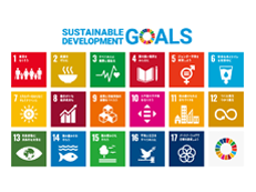 SUSTAINABLE DEVELOPMENT GOALS